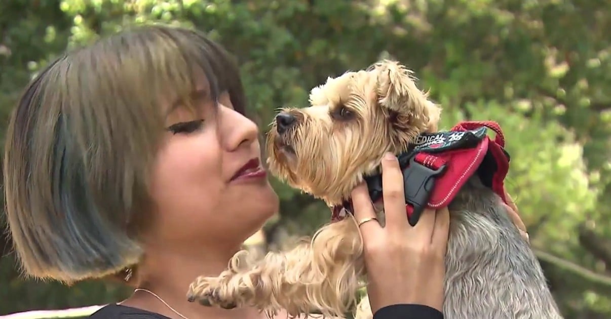 teen-saves-dog