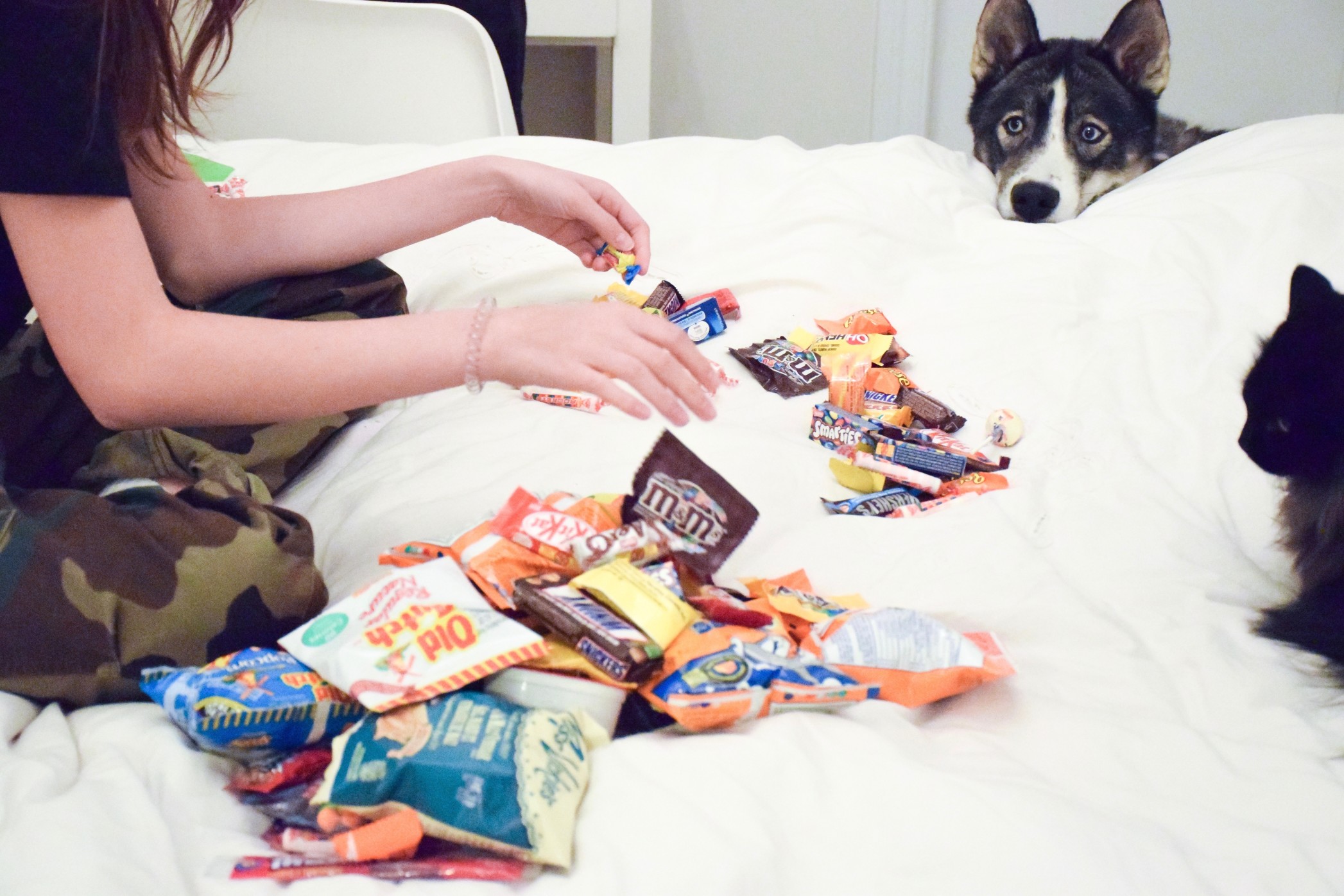 teenage-girl-sorting-halloween-candy-on-her-bed-while-her-dog-and-a-cat-watching_t20_NGRjmr.jpg