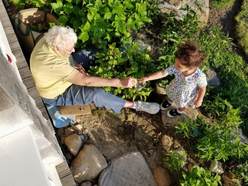 toddler-girl-helps-her-92-year-old-great-grandmother-in-the-garden-by-handing-her-what-she-needs_t20_VKXYwb-e1565988885727.jpg