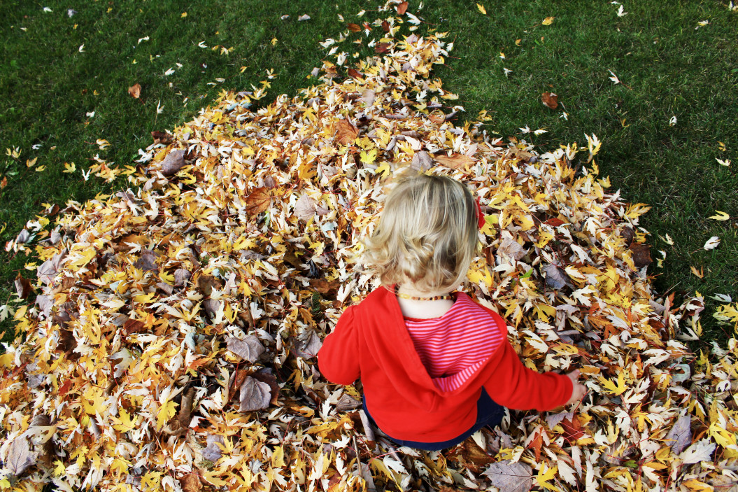 toddler-girl-jumping-in-leaf-pile_t20_z9K62X.jpg