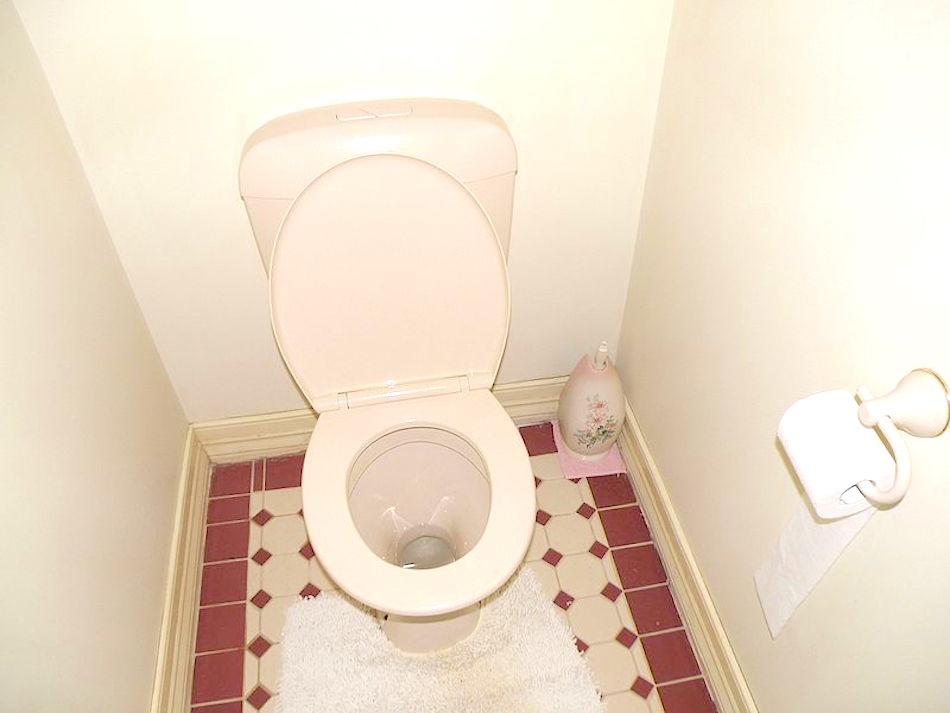 toilet.jpg