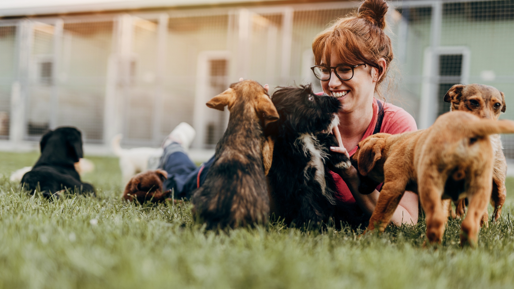 woman-with-puppies