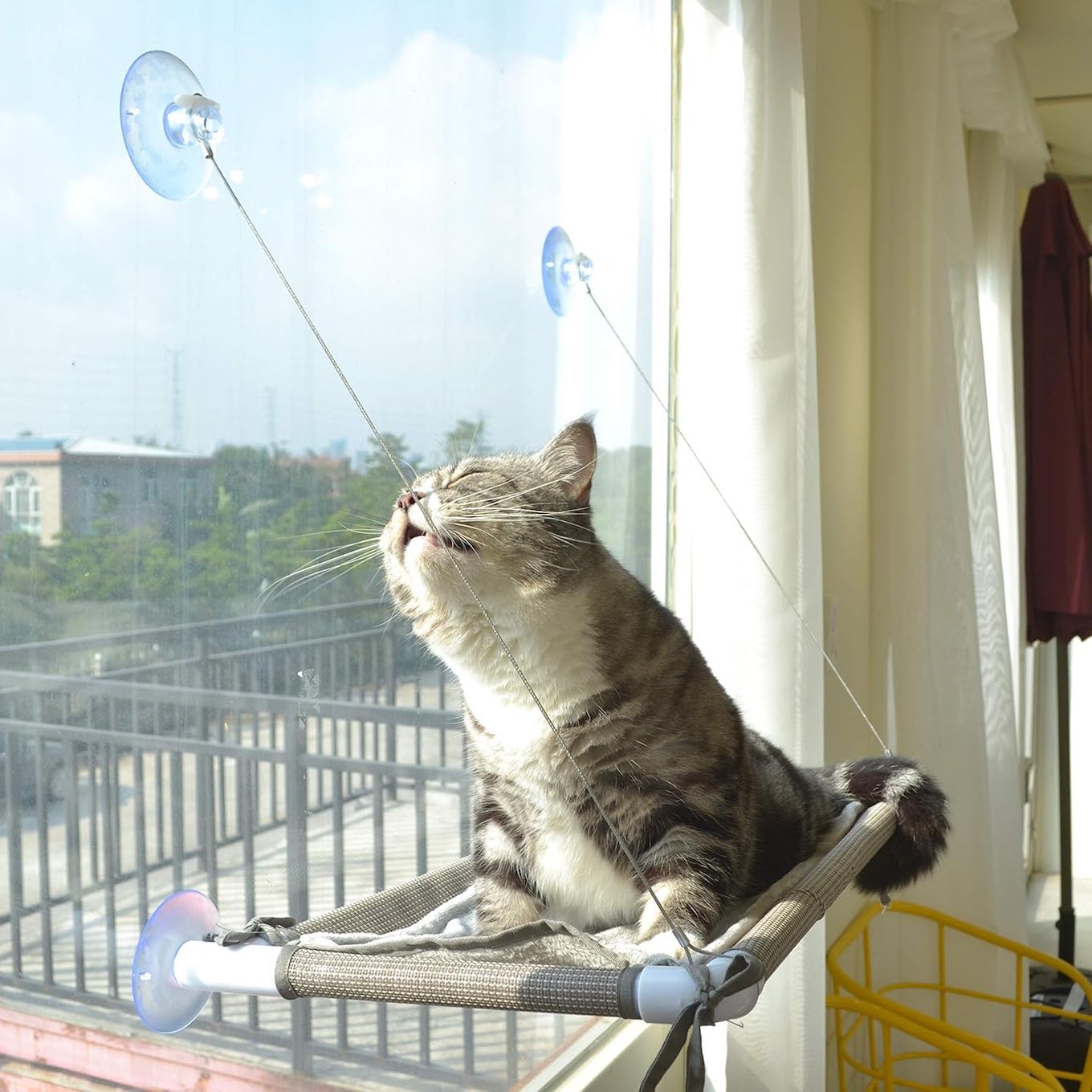 cat window hammock