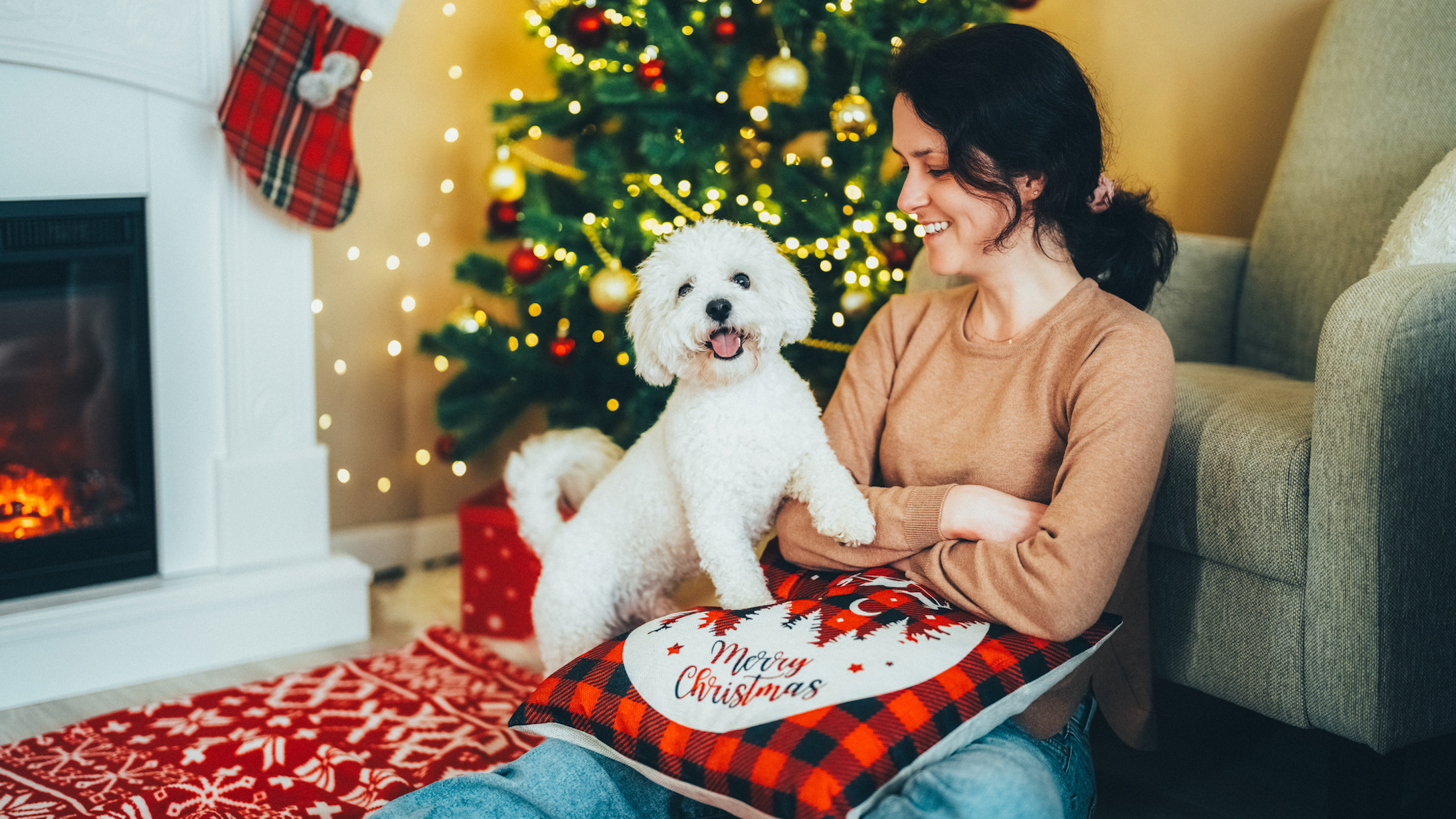 White fluffy dog and their owner by a Christmas tree