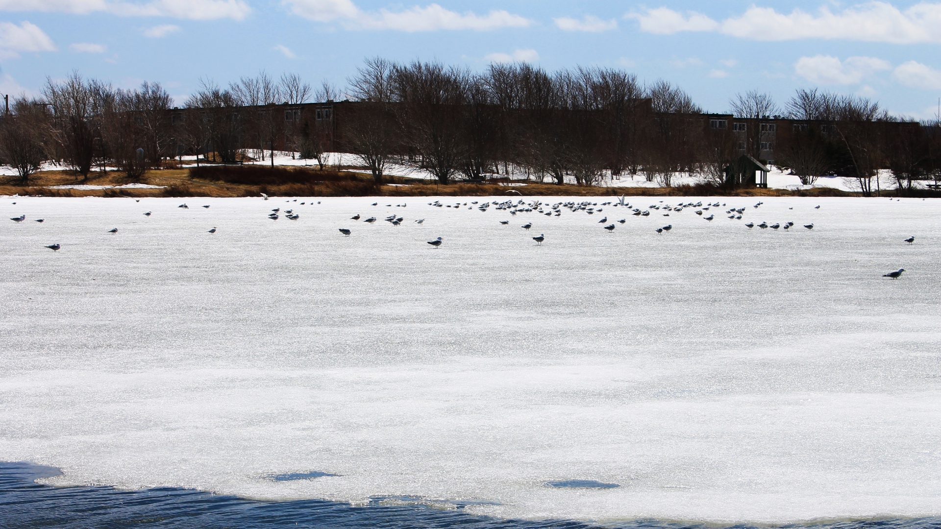 frozen lake