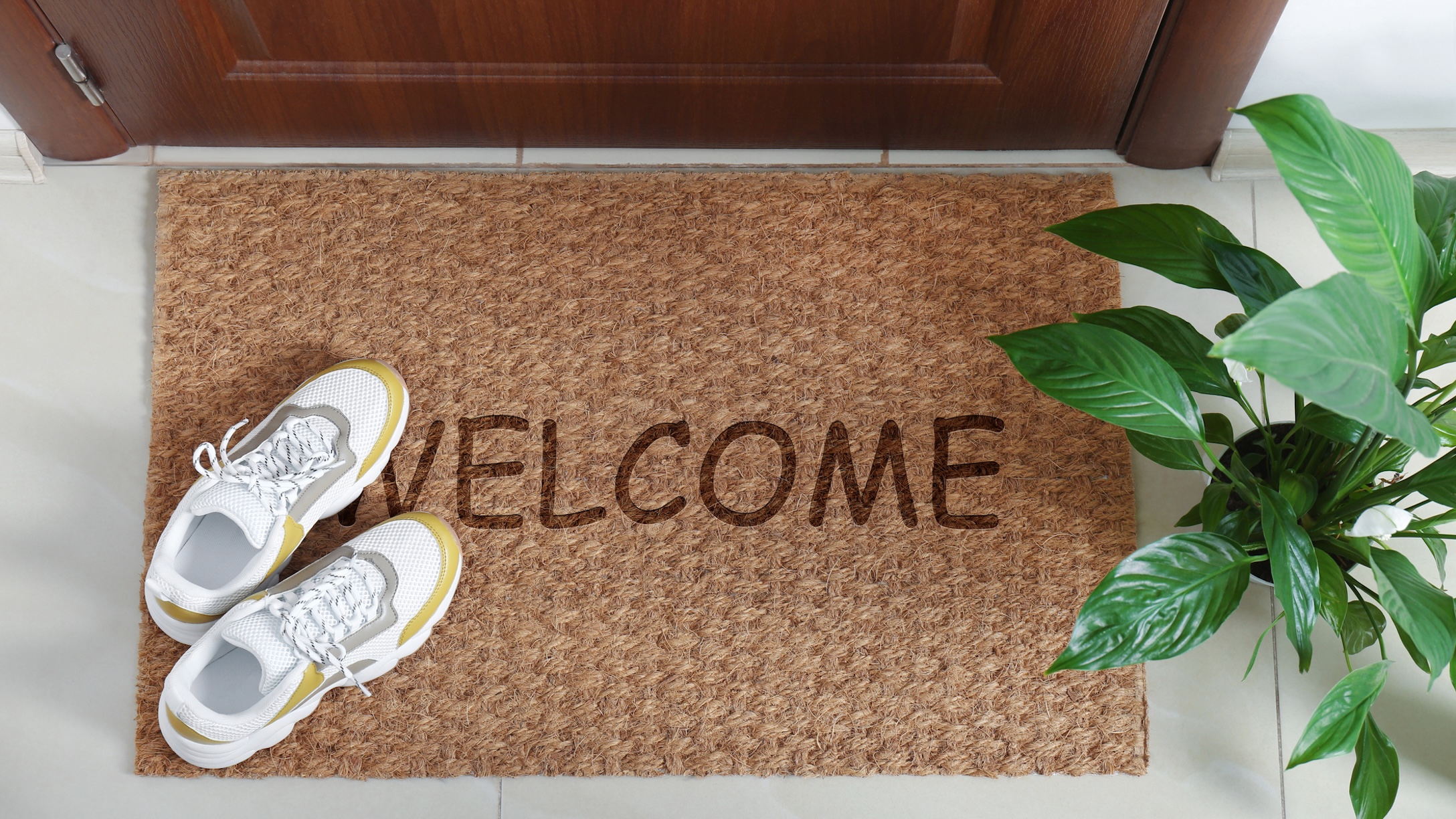 New clean mat with shoes near entrance door and houseplant, top view