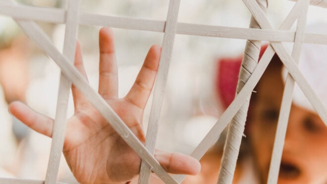 child hand through cage