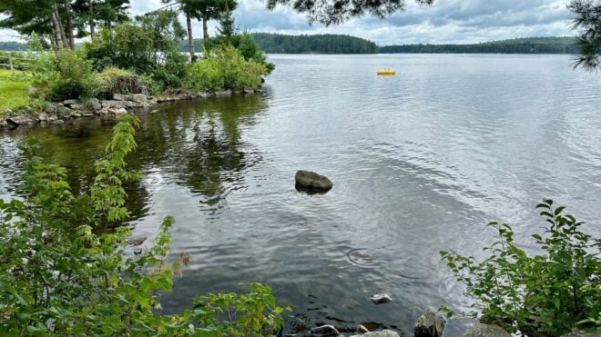 serene lake surrounded by foliage.