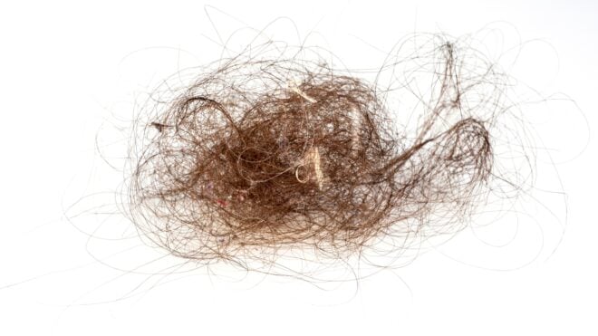 hair ball