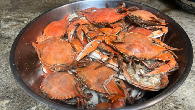 cooked crabs