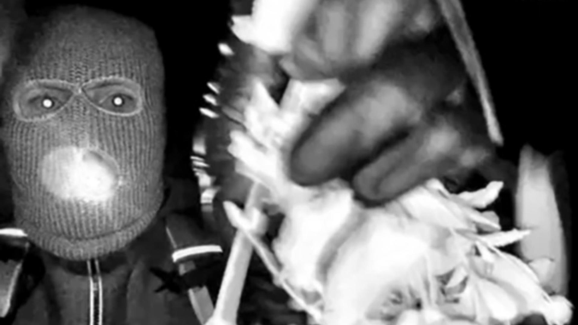 nancy guthrie surveillance footage