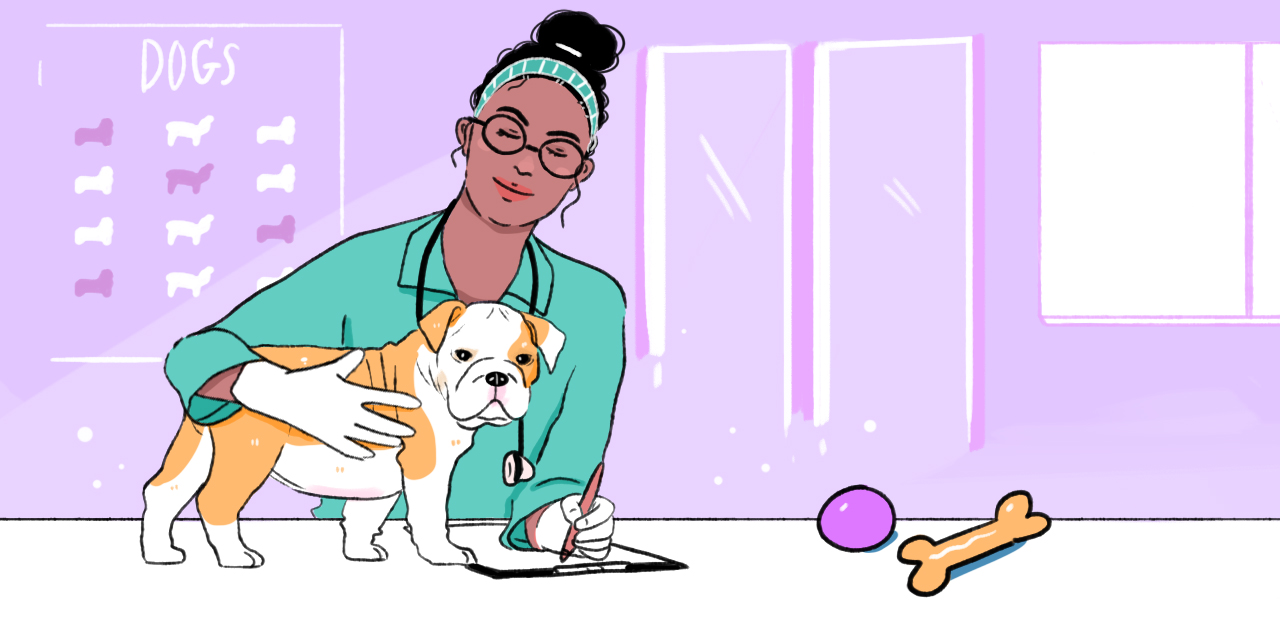 HPThumb_PuppyNeuter_1280x627px