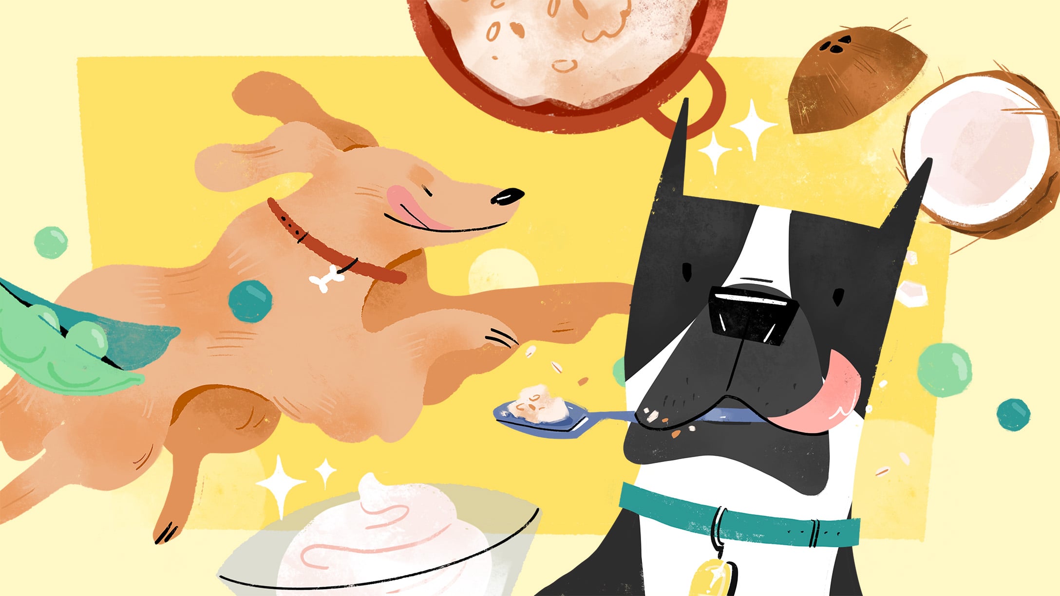 HP 10 Healthiest -People Foods- You Should Be Feeding Your Dog