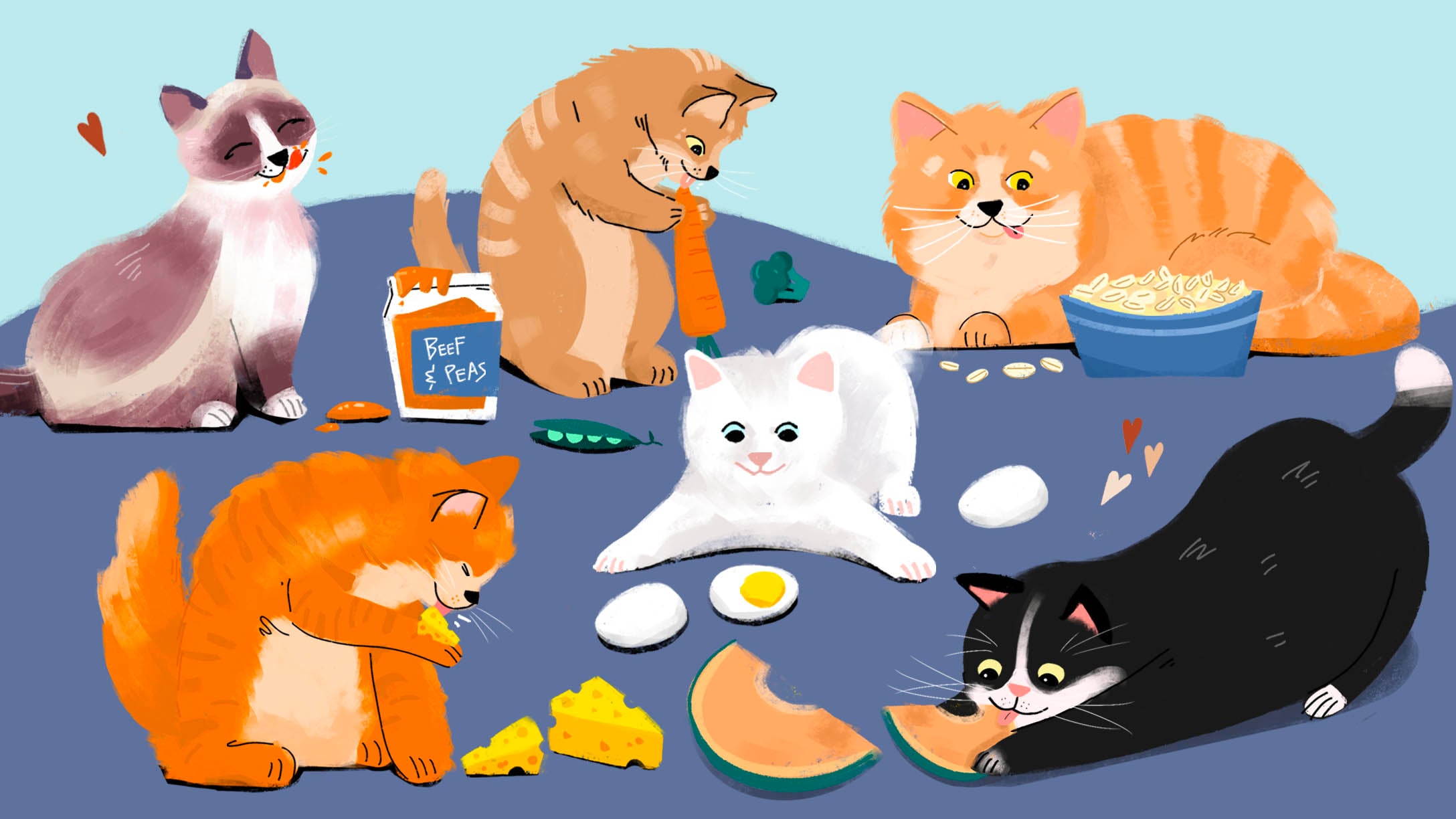 LT SEO PeopleFoodsForCats Head (1)