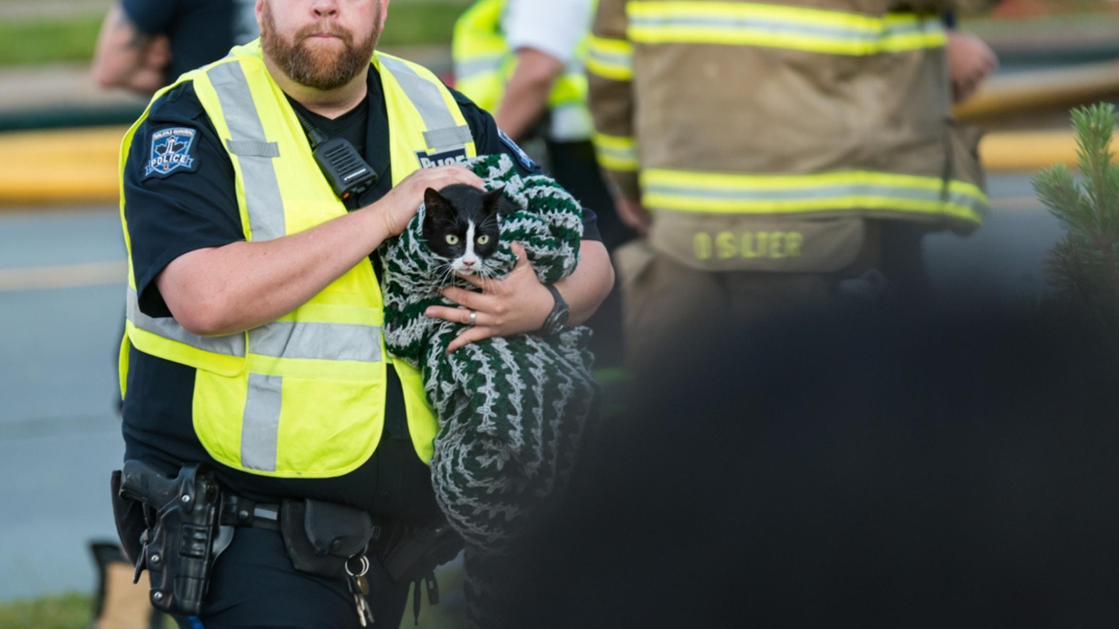 animal-rescue-ceo-arrested