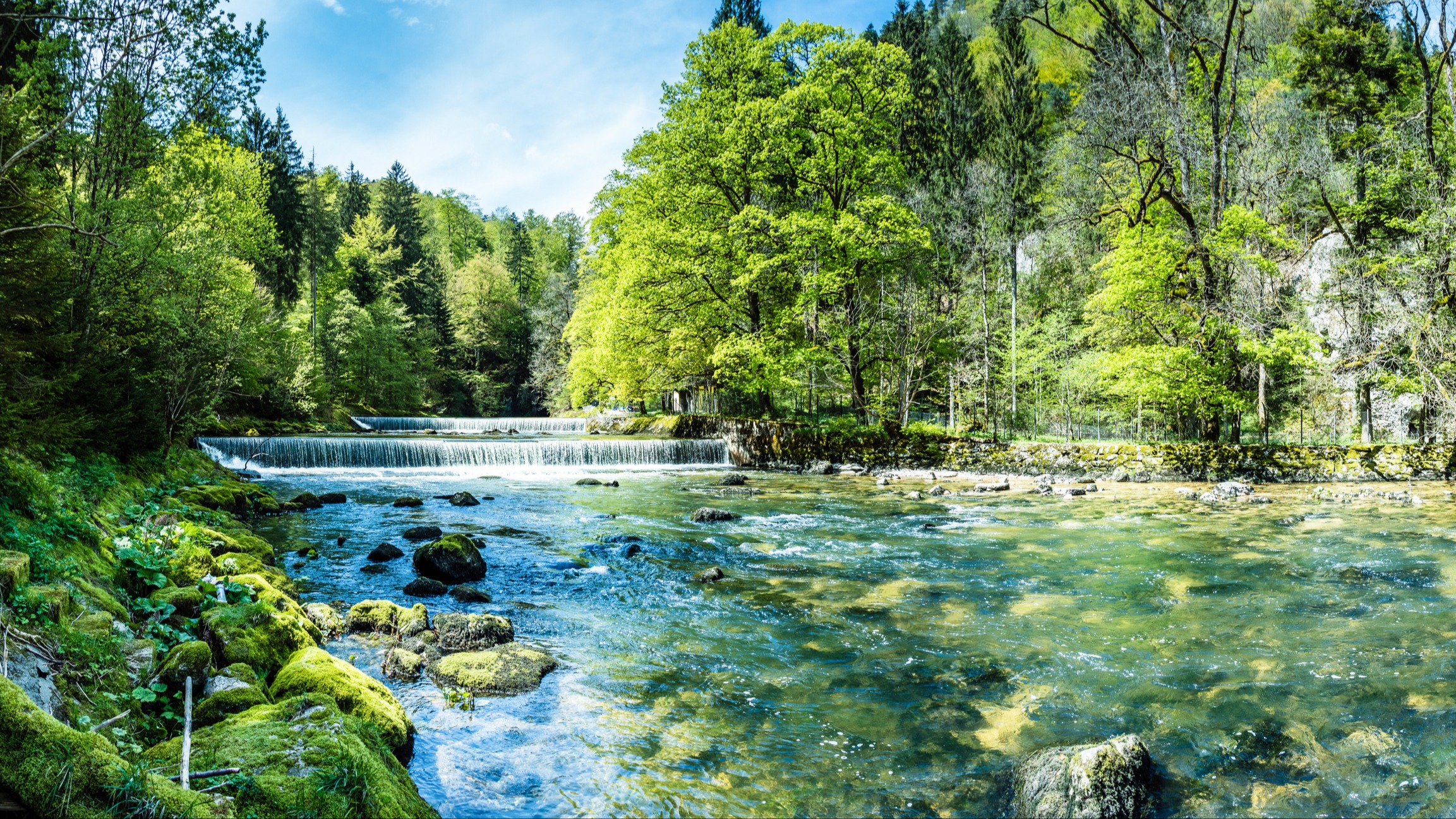iStock-1130739032