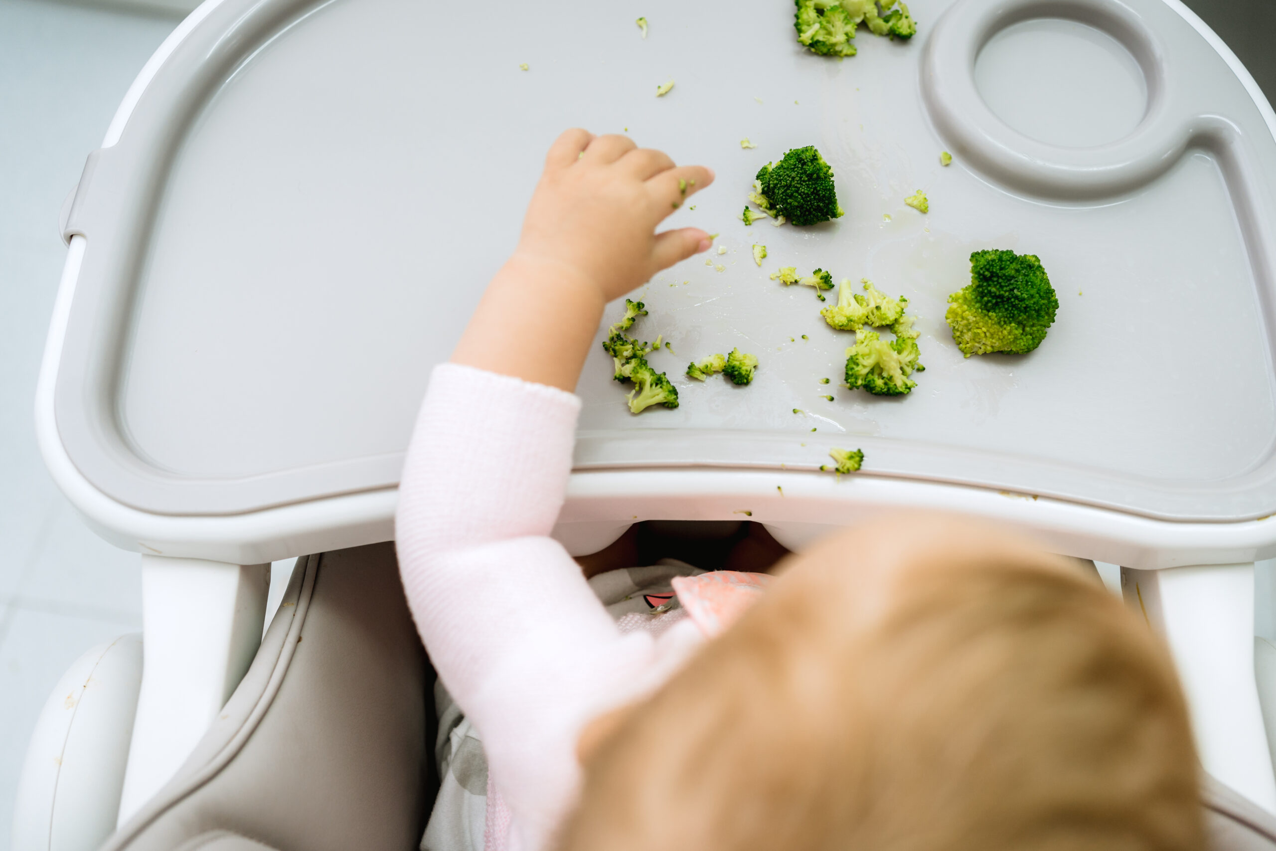 Baby_Food_Chair