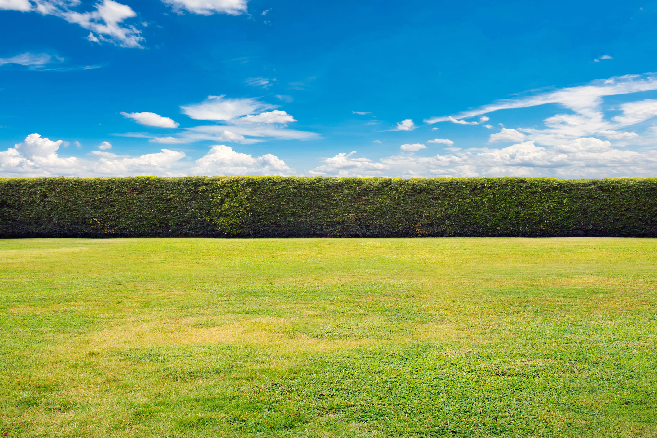 iStock-1397812155