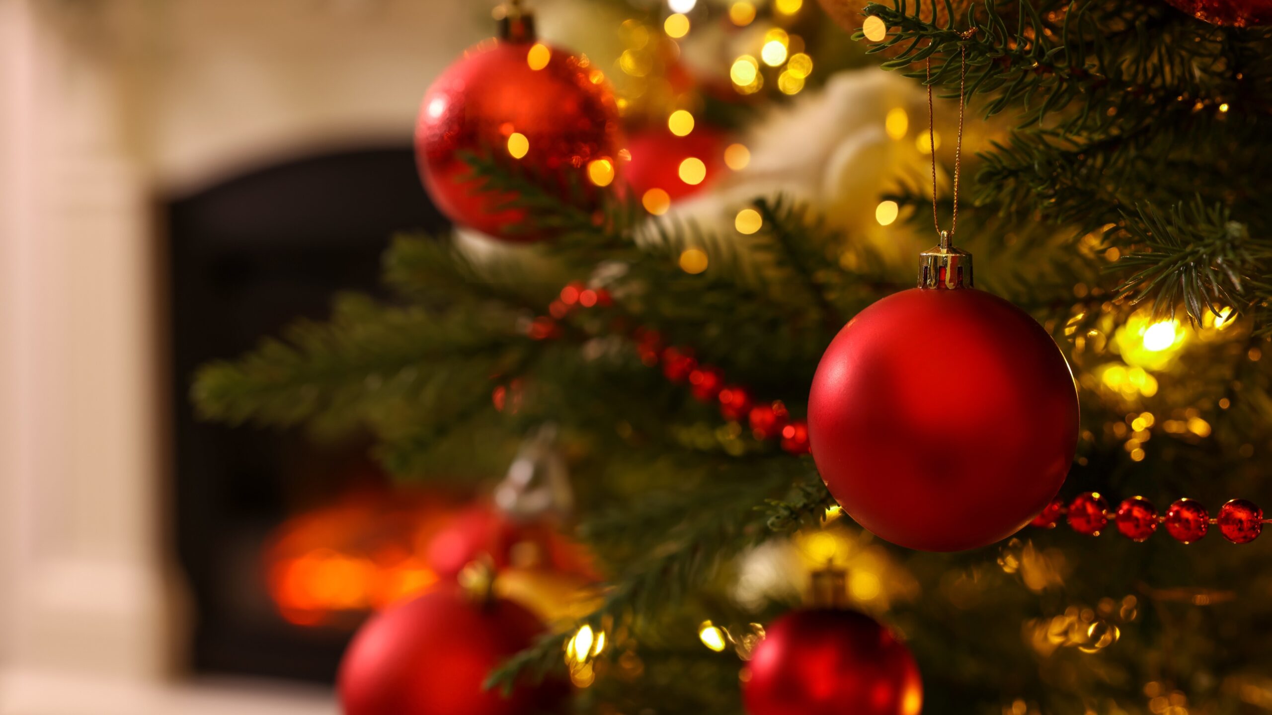 iStock-1433806705