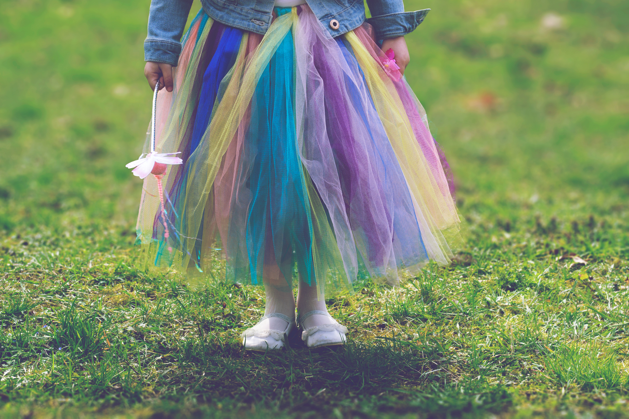 iStock-668080820