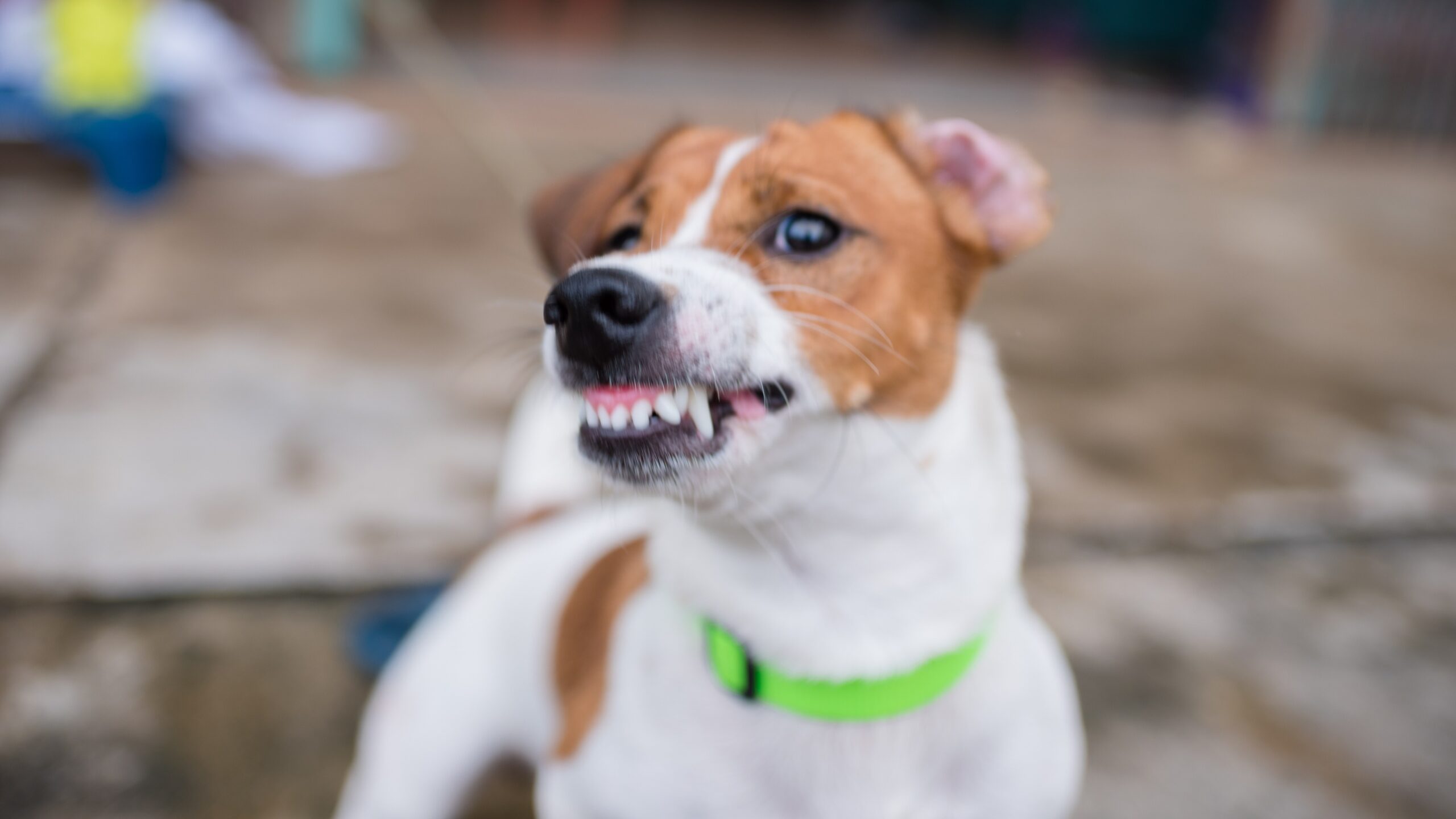 iStock-998334450