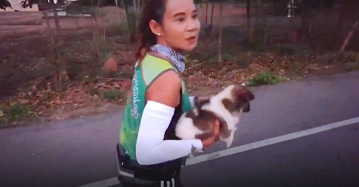 marathonpuppy