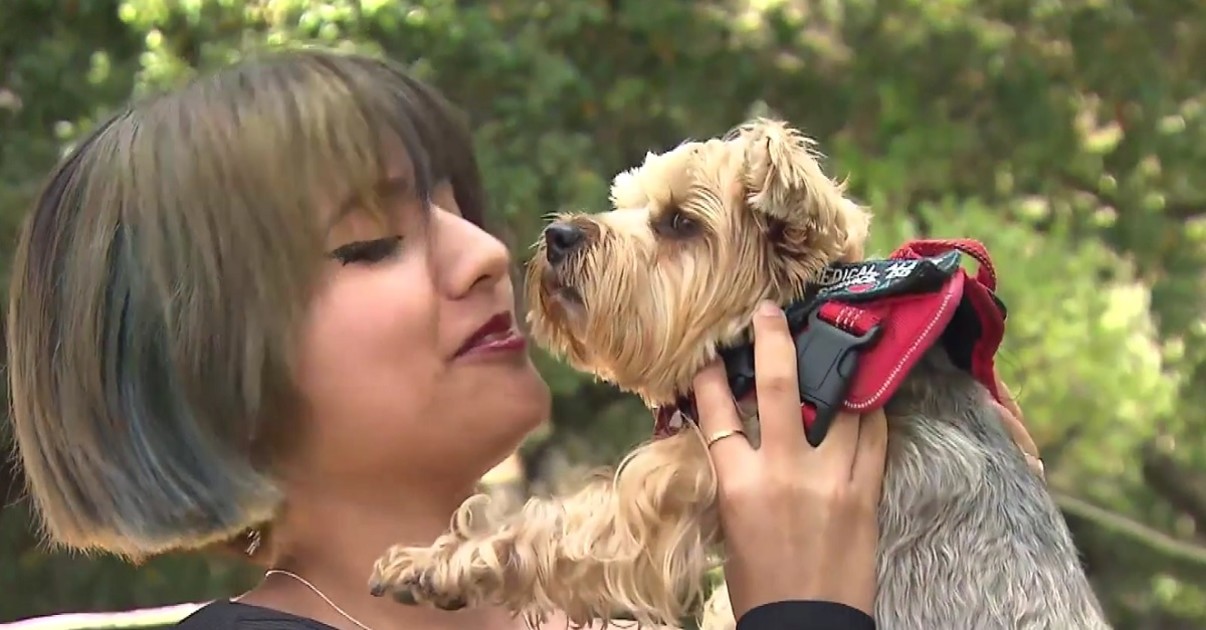 teen-saves-dog