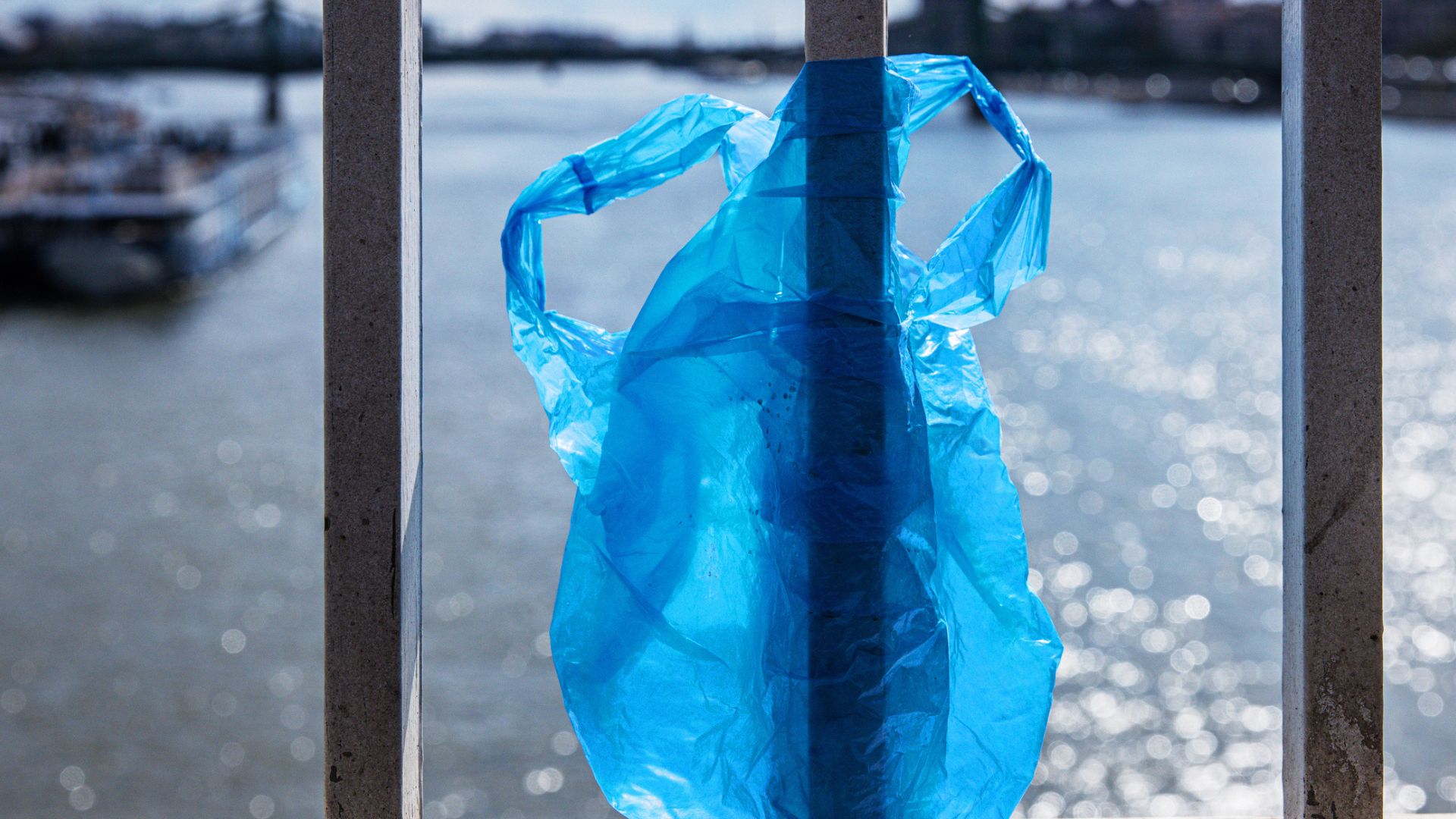 Dead Infant in a Plastic Bag