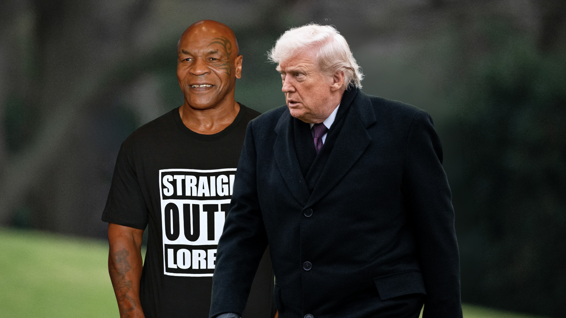 mike tyson donald trump
