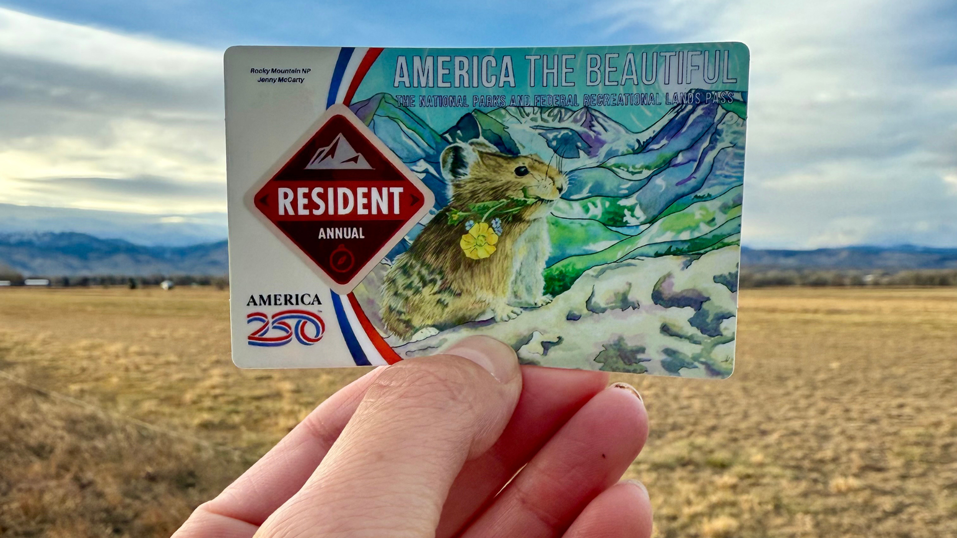 Boulder artist Jenny McCarty’s custom National Parks-pass stickers cover President Donald Trump’s face on the 2026 designs.